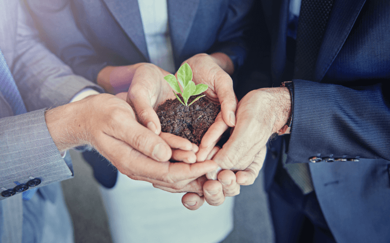 The Value of Your Business