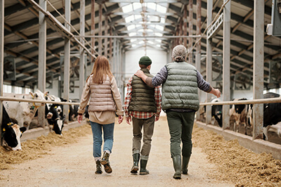 Farmer walking with children in a barn with cows on each side of them