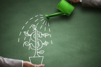 graphic representing a person watering a money tree so it will grow